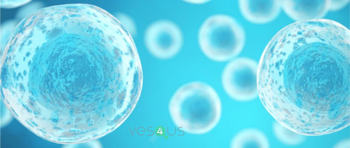 VES4US: Extracellular vesicles from a natural source for tailor-made nanomaterials