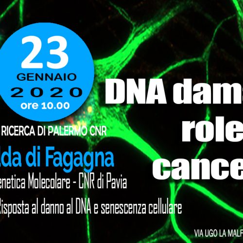 23 Gennaio ore 10.00 SEMINARIO Dr. Fabrizio d’Adda di Fagagna: DNA damage and the role of ncRNA in cancer and aging