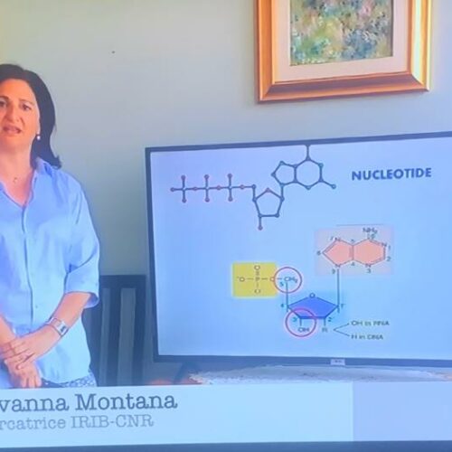 RAISCUOLA. Giovanna Montana. Caratteristiche del DNA Zettel Maturità – Biologia