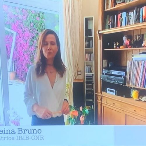 RAISCUOLA. Andreina Bruno. Insulina, glucagone e glicemia Zettel Maturità – Scienze