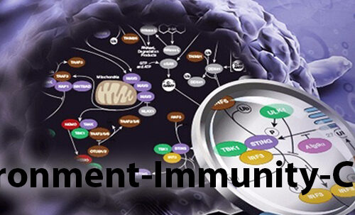 Environment – Immunity – Cancer