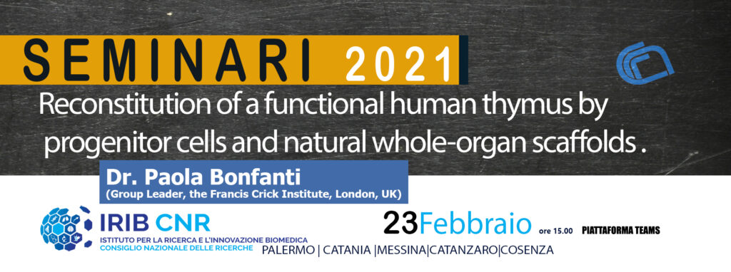 Seminario Dr Paola Bonfanti: “Reconstitution of a functional human thymus by progenitor cells and natural whole-organ scaffolds “ 23 Febbraio 2021