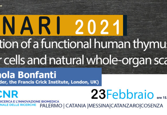Seminar Dr Paola Bonfanti. 23 Febbraio 2021