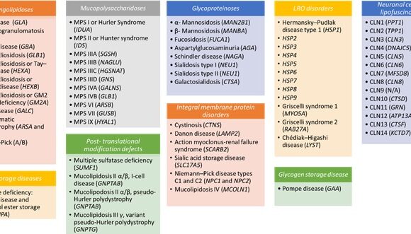 “Early diagnosis of some lysosomal diseases: analysis of the clinical utility and diagnostic validity of genomic techniques for their molecular diagnosis. Evaluations on the implications of the inclusion of lysosomal diseases in the context of a national newborn screening program”