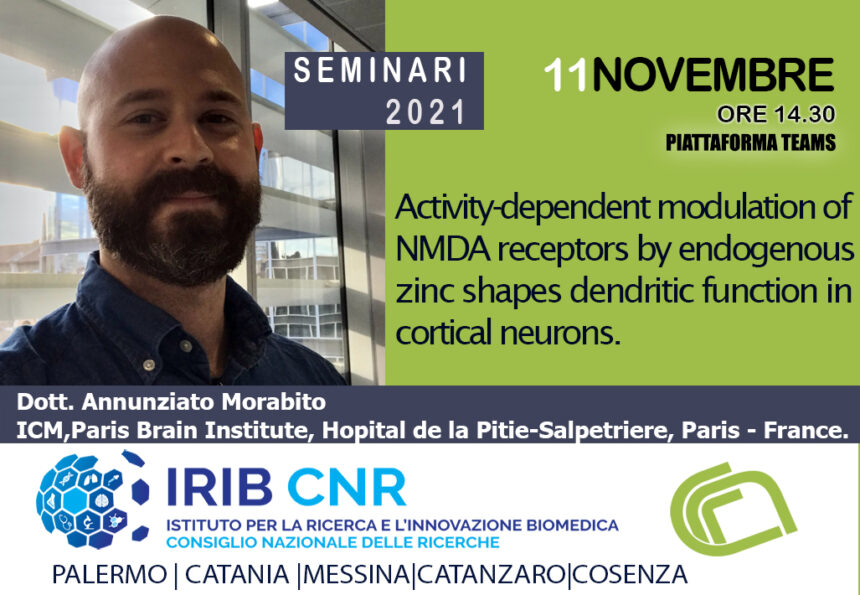 Seminar: Dr. Annunziato Morabito. November 11, 2021