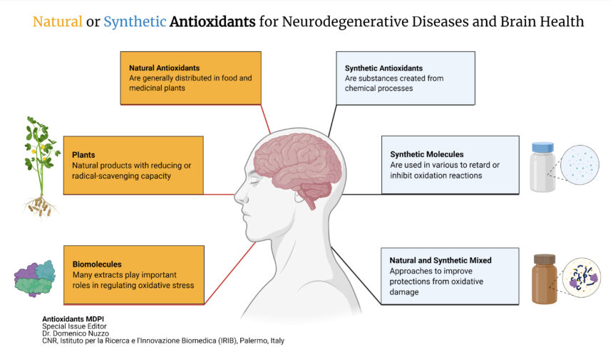 “Natural or Synthetic Antioxidants for Neurodegenerative Diseases and Brain Health” tra le TOP 5  Special Issues del Journal Annual Report 2021 MDPI