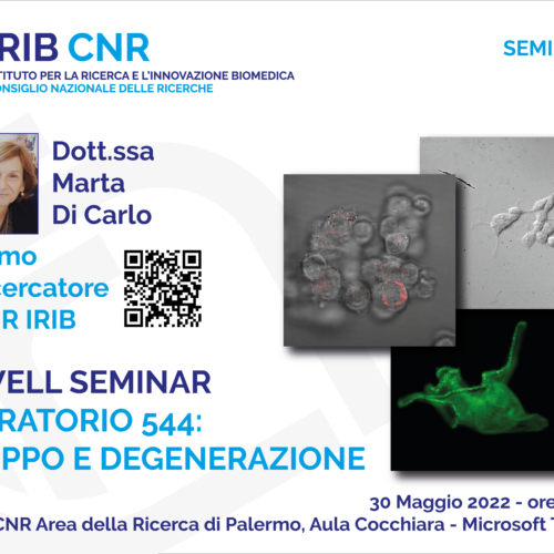 Seminario: Dott.ssa Marta Di Carlo – 30 Maggio 2022